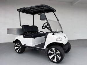 Evolution Turfman 200 Lithium Utility Golf Cart